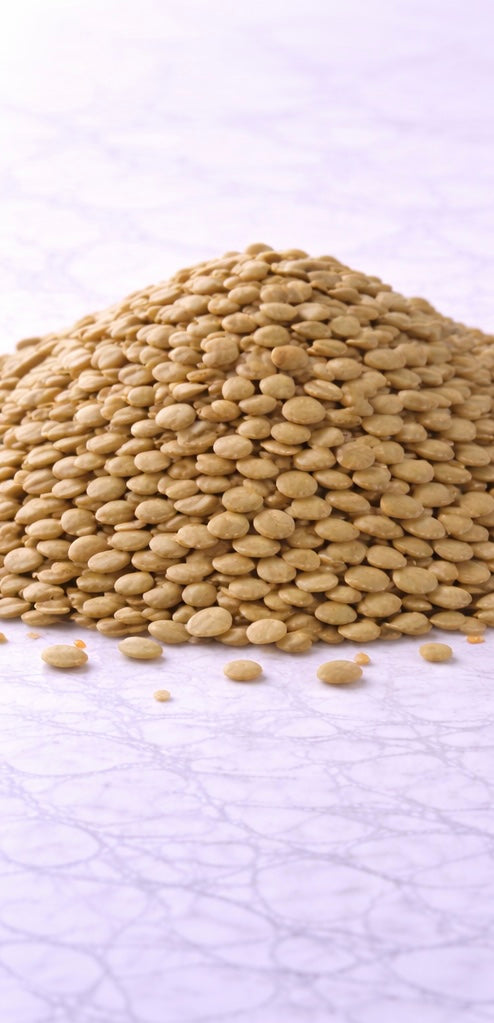 עדשים כתומות/ירוקות/שחורות