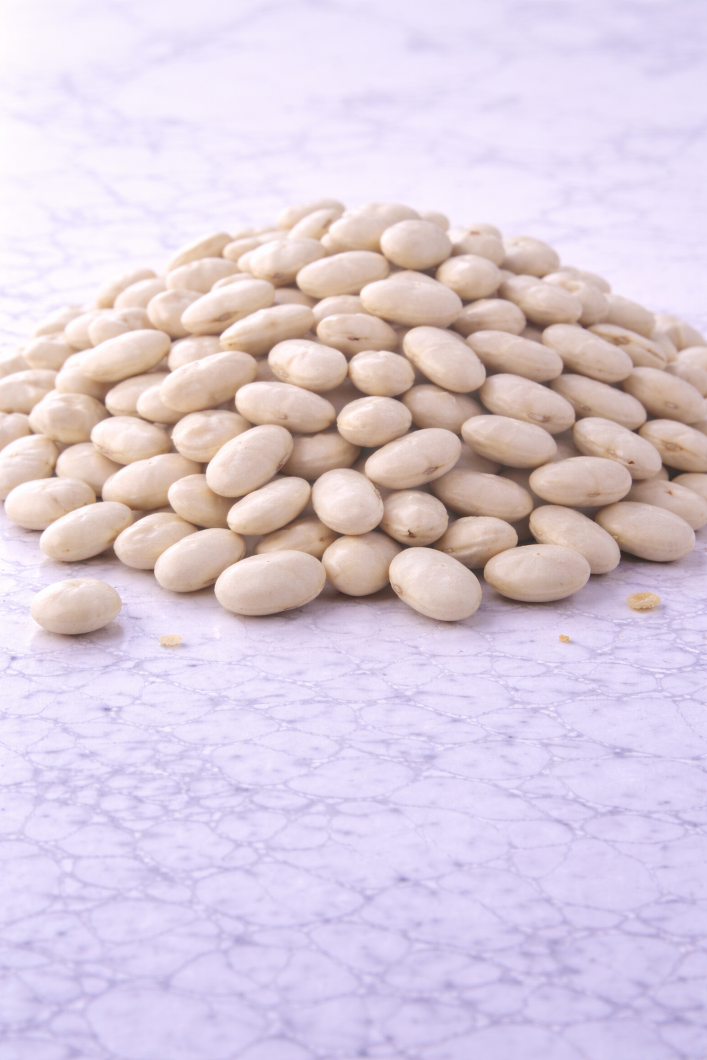 שעועית רגילה 1 קילו