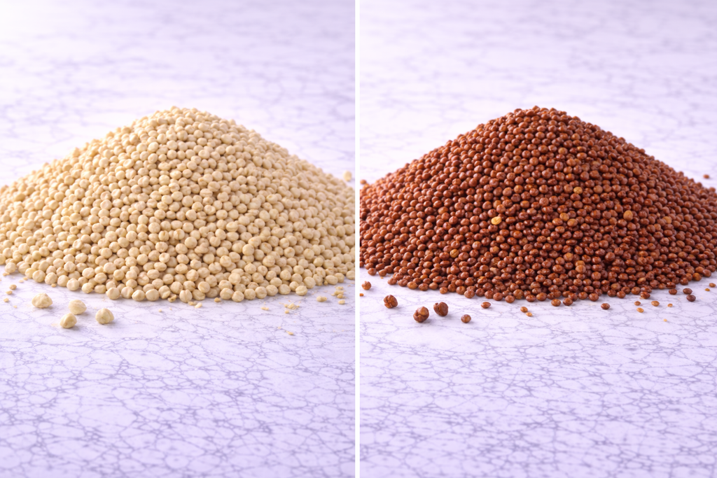 קינואה לבנה/אדומה 1 קילו