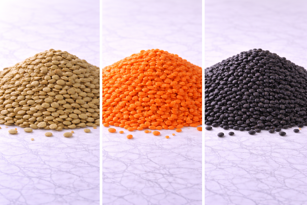 עדשים כתומות/ירוקות/שחורות